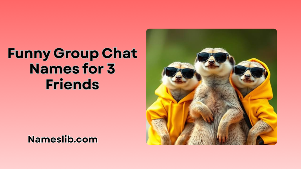 Funny Group Chat Names for 3 Friends (2)