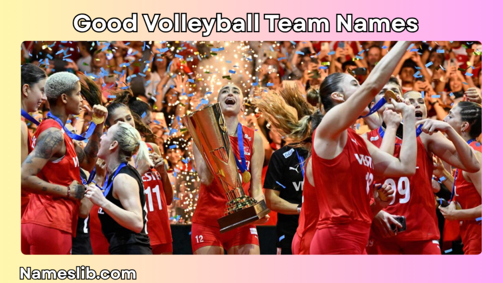 Good Volleyball Team Names