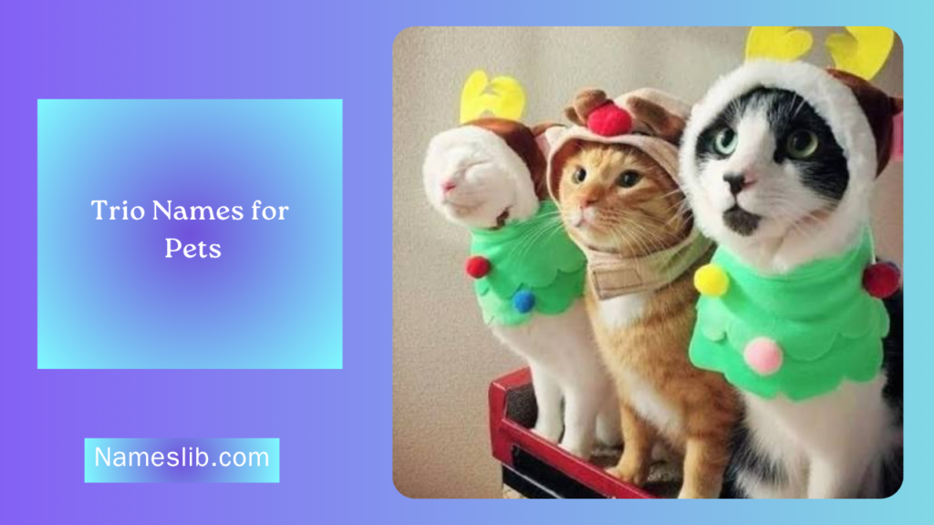 Trio Names for Pets